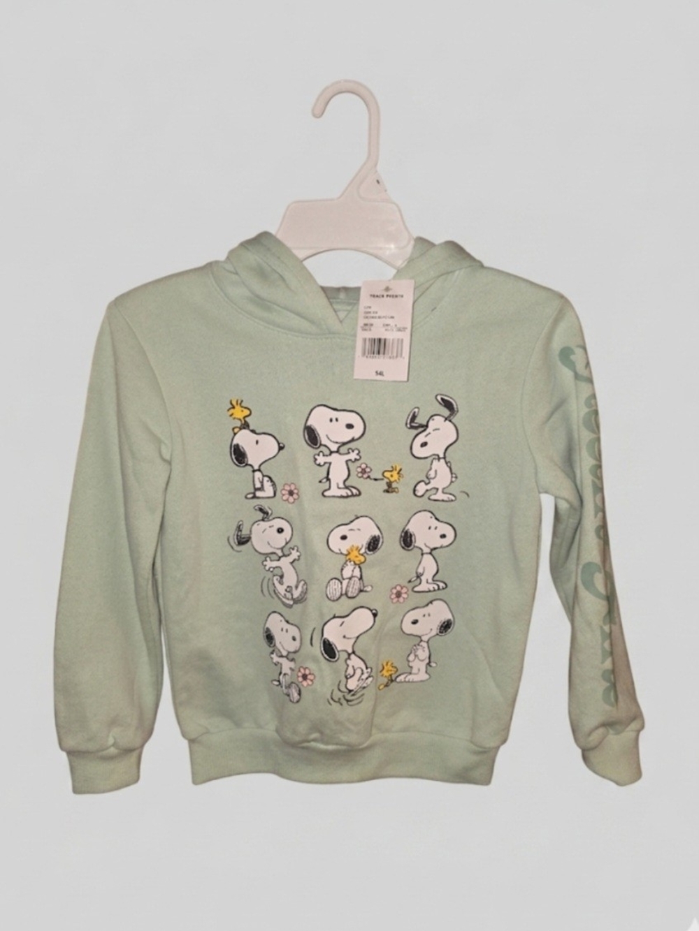 Hybrid Apparel Mint Green Snoopy & Woodstock Graphic Hoodie Sz 4/5